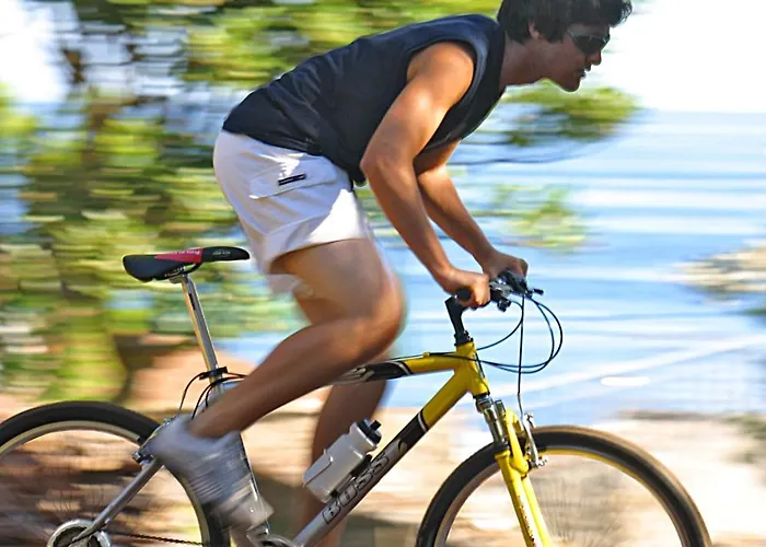 Country house Quinta Merces *